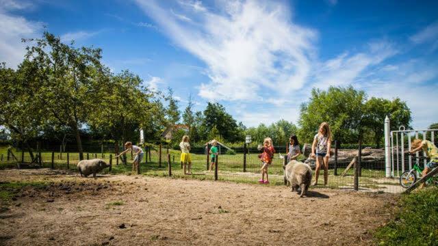 Vakantiewoning - Kon. Emmaweg 26 | Vrouwenpolder 'Uitspanning Oranjezon' Kültér fotó
